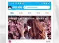在线播放小视频,在线播放小视频的精彩瞬间回顾